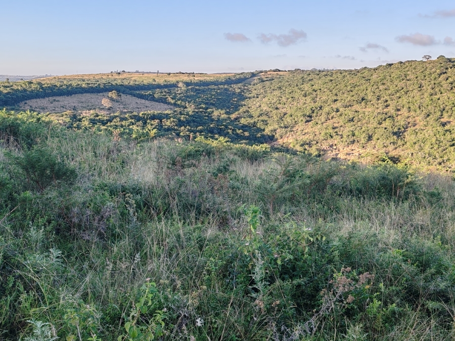 3 Bedroom Property for Sale in Komga Rural Eastern Cape